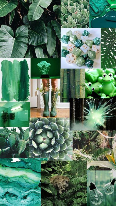 green background wallpaper aesthetic.